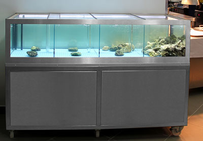 промышленный морской аквариум для ресторана и магазина 350 литров
